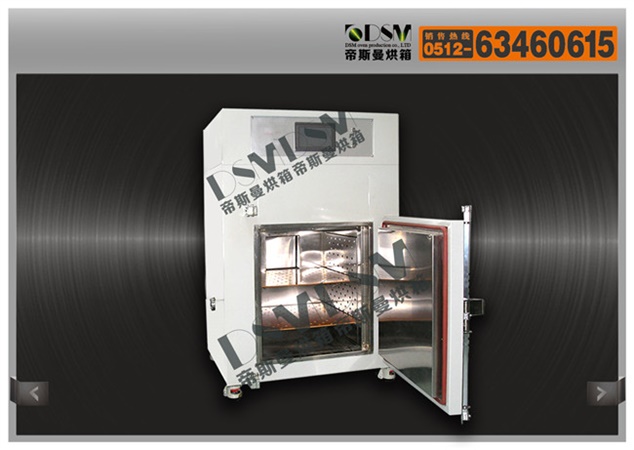 PLC控溫系統(tǒng)立式4型充氮烘箱